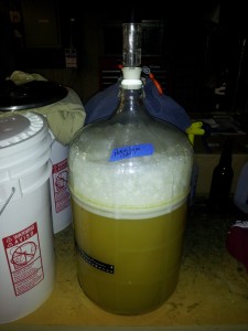 6 gallon beer fermentation